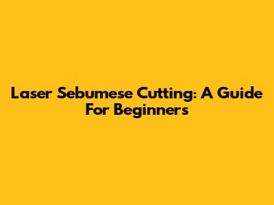 Laser Sebumese Cutting: A Guide For Beginners