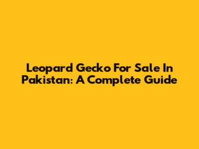 Leopard Gecko For Sale In Pakistan: A Complete Guide