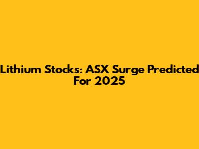 Lithium Stocks: ASX Surge Predicted For 2025