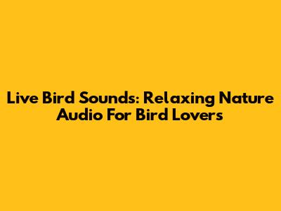 Live Bird Sounds: Relaxing Nature Audio For Bird Lovers
