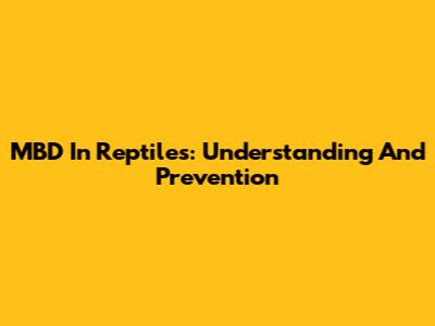 MBD In Reptiles: Understanding And Prevention