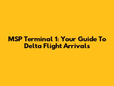 MSP Terminal 1: Your Guide To Delta Flight Arrivals