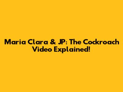 Maria Clara & JP: The Cockroach Video Explained!