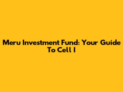 Meru Investment Fund: Your Guide To Cell I
