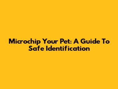 Microchip Your Pet: A Guide To Safe Identification