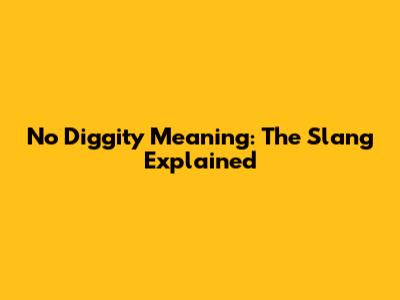 No Diggity Meaning: The Slang Explained