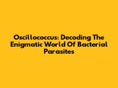 Oscillococcus: Decoding The Enigmatic World Of Bacterial Parasites