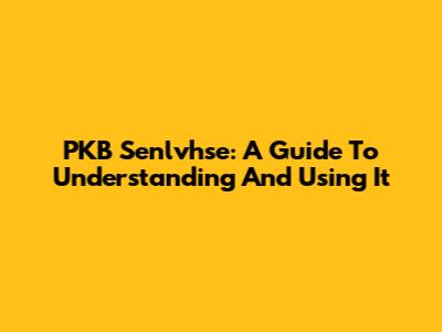 PKB Senlvhse: A Guide To Understanding And Using It