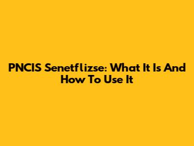 PNCIS Senetflizse: What It Is And How To Use It
