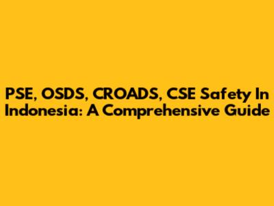 PSE, OSDS, CROADS, CSE Safety In Indonesia: A Comprehensive Guide