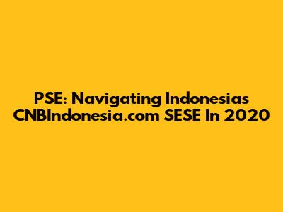 PSE: Navigating Indonesia's CNBIndonesia.com SESE In 2020