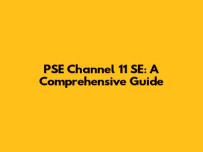 PSE Channel 11 SE: A Comprehensive Guide