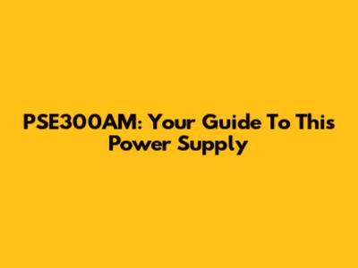 PSE300AM: Your Guide To This Power Supply