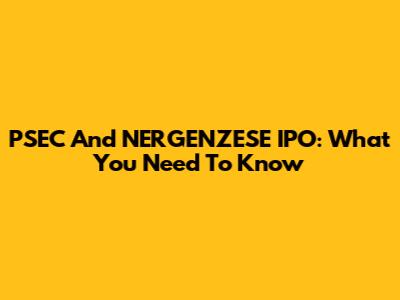 PSEC And NERGENZESE IPO: What You Need To Know