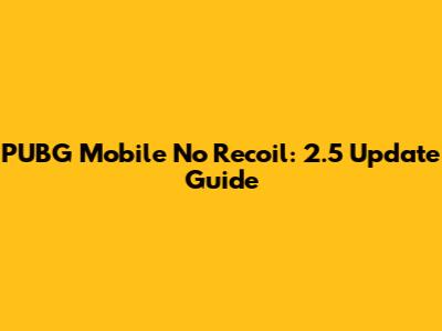 PUBG Mobile No Recoil: 2.5 Update Guide