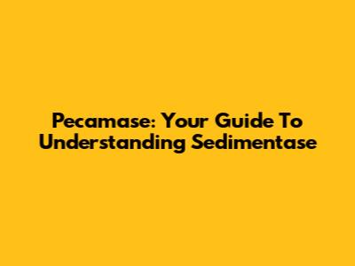 Pecamase: Your Guide To Understanding Sedimentase