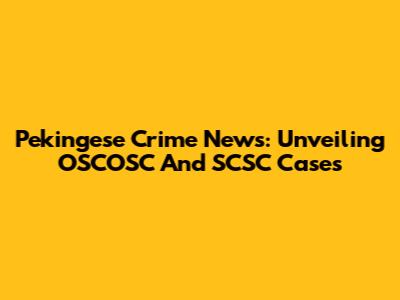 Pekingese Crime News: Unveiling OSCOSC And SCSC Cases