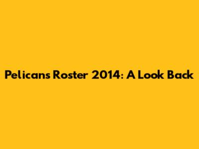 Pelicans Roster 2014: A Look Back