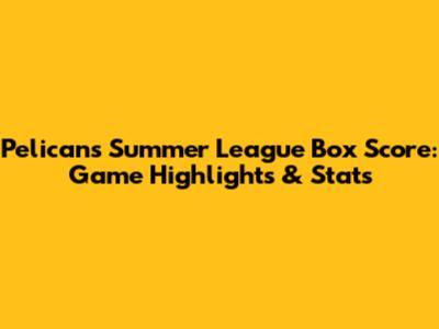 Pelicans Summer League Box Score: Game Highlights & Stats