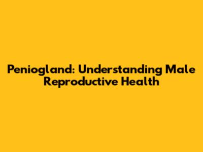 Peniogland: Understanding Male Reproductive Health