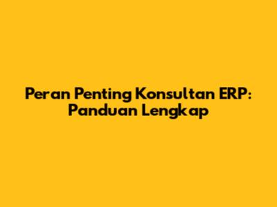 Peran Penting Konsultan ERP: Panduan Lengkap