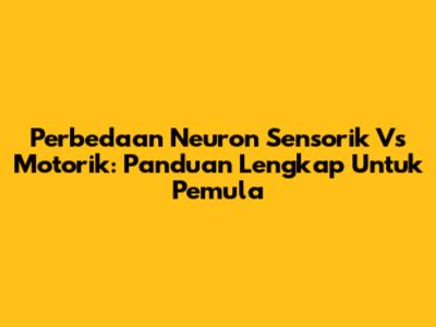 Perbedaan Neuron Sensorik Vs Motorik: Panduan Lengkap Untuk Pemula