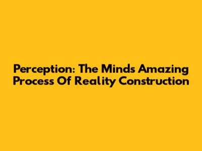 Perception: The Mind's Amazing Process Of Reality Construction