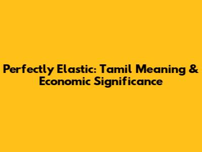 Perfectly Elastic: Tamil Meaning & Economic Significance