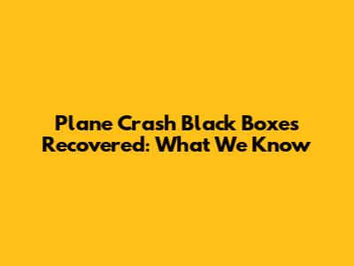 Plane Crash Black Boxes Recovered: What We Know