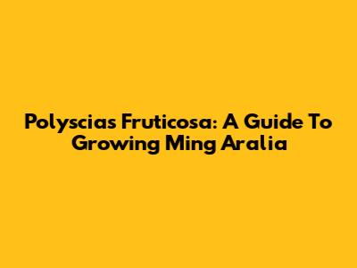 Polyscias Fruticosa: A Guide To Growing Ming Aralia