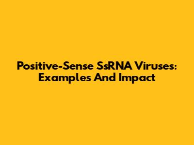 Positive-Sense SsRNA Viruses: Examples And Impact