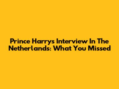 Prince Harry's Interview In The Netherlands: What You Missed