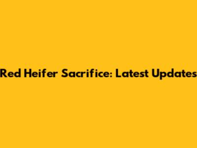 Red Heifer Sacrifice: Latest Updates