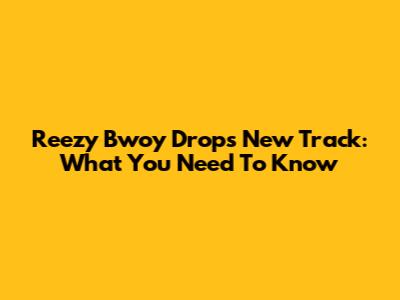 Reezy Bwoy Drops New Track: What You Need To Know