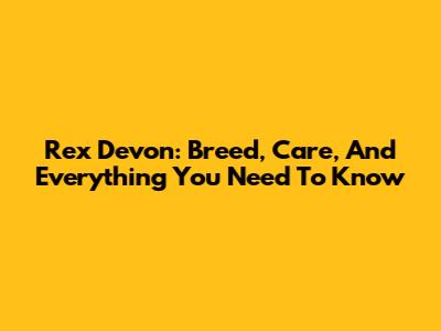 Rex Devon: Breed, Care, And Everything You Need To Know