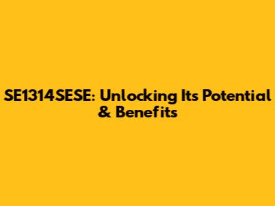 SE1314SESE: Unlocking Its Potential & Benefits