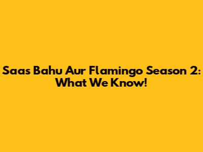 Saas Bahu Aur Flamingo Season 2: What We Know!