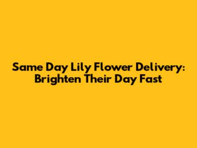Same Day Lily Flower Delivery: Brighten Their Day Fast