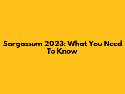 Sargassum 2023: What You Need To Know
