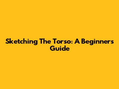 Sketching The Torso: A Beginner's Guide