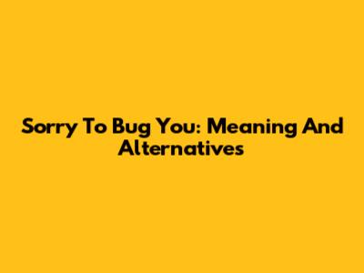 Sorry To Bug You: Meaning And Alternatives