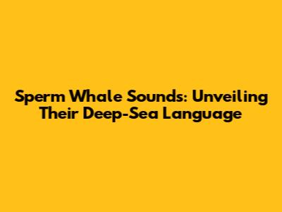 Sperm Whale Sounds: Unveiling Their Deep-Sea Language