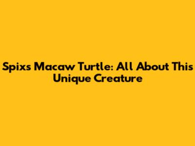 Spix's Macaw Turtle: All About This Unique Creature