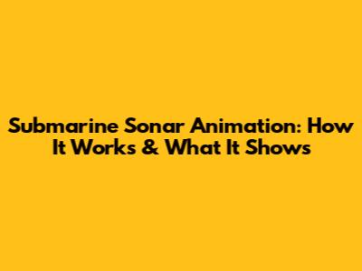 Submarine Sonar Animation: How It Works & What It Shows