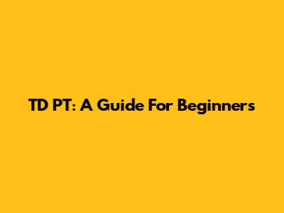 TD PT: A Guide For Beginners