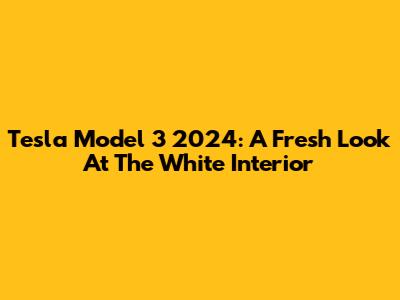 Tesla Model 3 2024: A Fresh Look At The White Interior