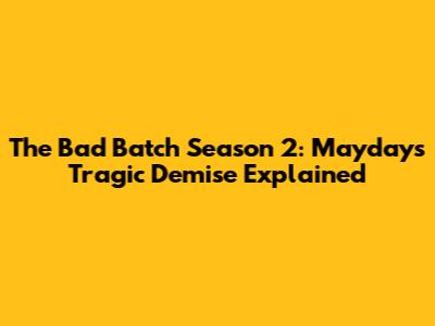 The Bad Batch Season 2: Mayday's Tragic Demise Explained