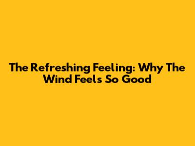 The Refreshing Feeling: Why The Wind Feels So Good