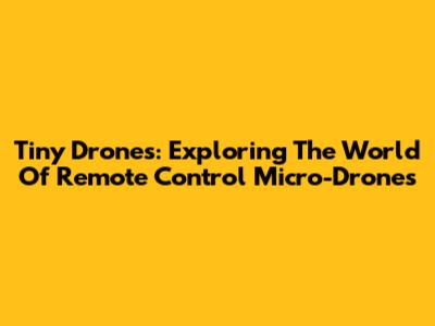 Tiny Drones: Exploring The World Of Remote Control Micro-Drones