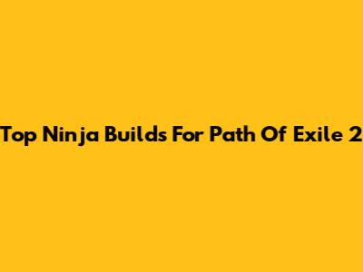 Top Ninja Builds For Path Of Exile 2